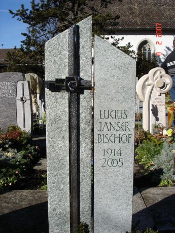DSC02589_detail