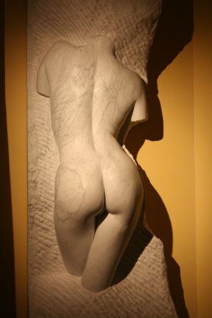 IMG_1751_detail